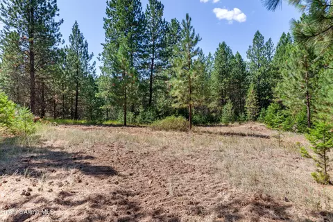 2300 S Dunlap Rd, Harrison, ID 83833 photo 14
