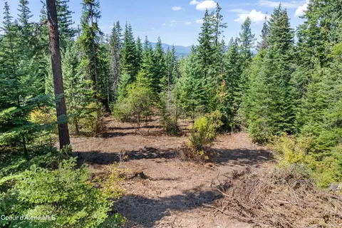 2300 S Dunlap Rd, Harrison, ID 83833 photo 9