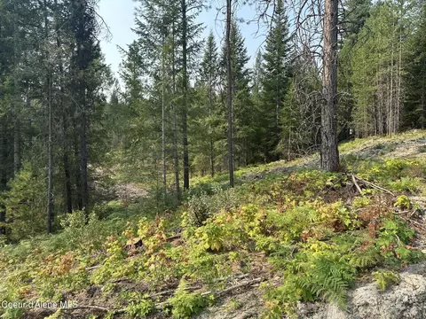 Nna Peninsula Loop Rd., Priest River, ID 83856