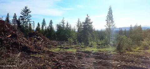 0 Ryan Loop, Saint Maries, ID 83861