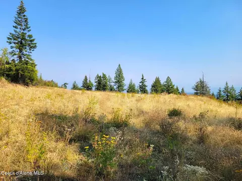 2900 Juniper Ln, Naples, ID 83805