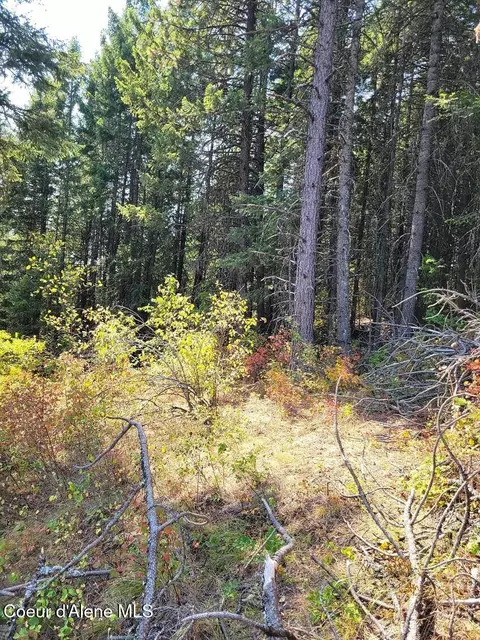 2900 Juniper Ln, Naples, ID 83805 photo 10