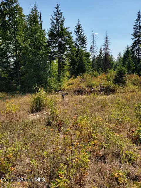 2900 Juniper Ln, Naples, ID 83805 photo 5