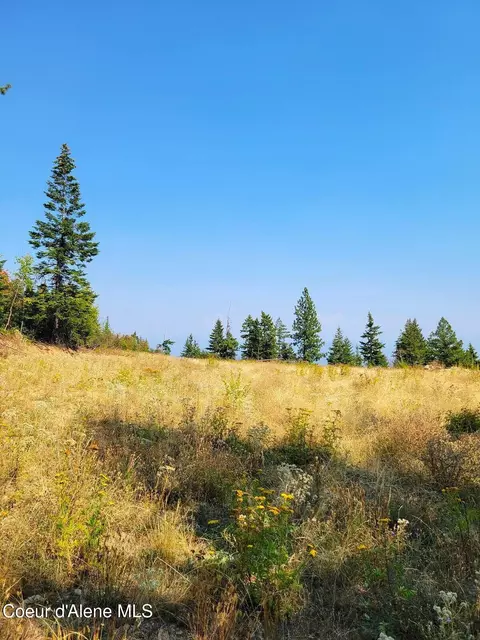 2900 Juniper Ln, Naples, ID 83805 photo 3