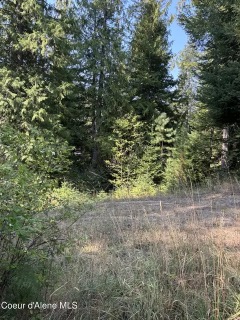 16789 W Left Fork Rd, Hauser, ID 83854 photo 8