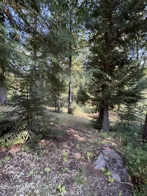 16789 W Left Fork Rd, Hauser, ID 83854 photo 10