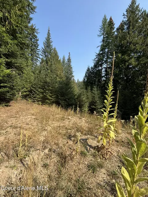 16789 W Left Fork Rd, Hauser, ID 83854 photo 12