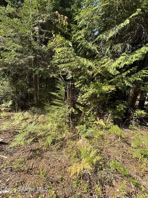 16789 W Left Fork Rd, Hauser, ID 83854 photo 14
