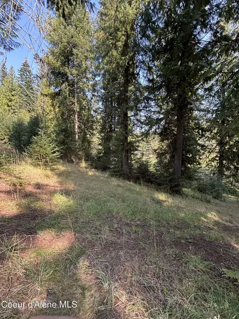16789 W Left Fork Rd, Hauser, ID 83854 photo 11