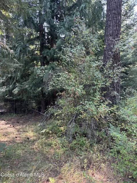 16789 W Left Fork Rd, Hauser, ID 83854 photo 9