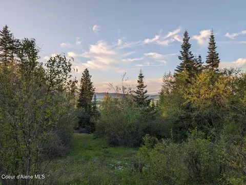 352 Camarillo Ln, Plummer, ID 83851 photo 7