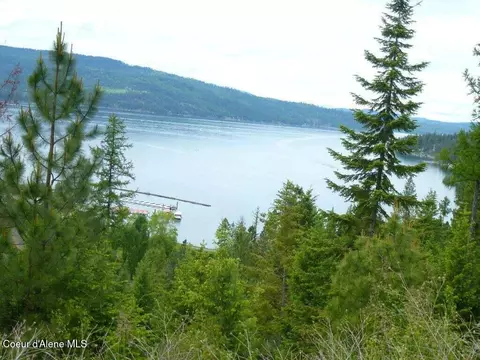 lot11 Flying Eagle Dr, Harrison, ID 83833