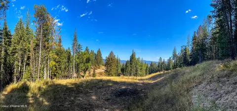 0 Larkspur Ln, Saint Maries, ID 83861