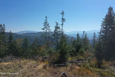 Nka Backside Dr, Saint Maries, ID 83861 photo 10