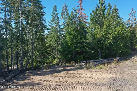 Nka Backside Dr, Saint Maries, ID 83861 photo 13