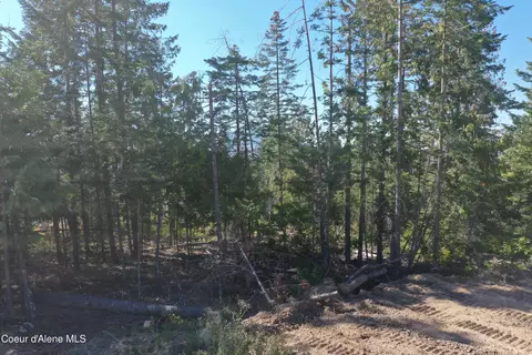 Nka Backside Dr, Saint Maries, ID 83861 photo 12
