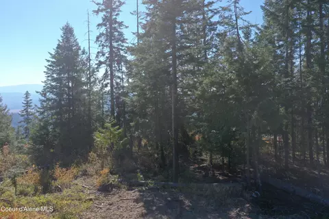 Nka Backside Dr, Saint Maries, ID 83861 photo 11
