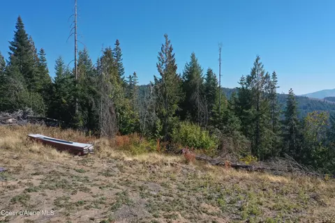 Nka Backside Dr, Saint Maries, ID 83861 photo 9