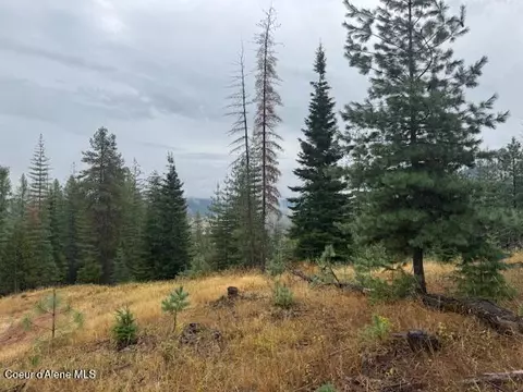 Nka Parcel B, Pinehurst, ID 83850 photo 9