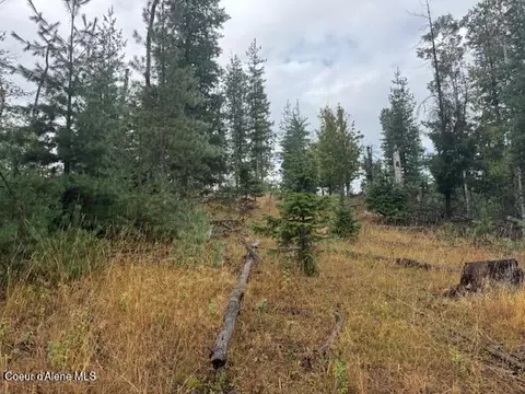Nka Parcel B, Pinehurst, ID 83850 photo 2