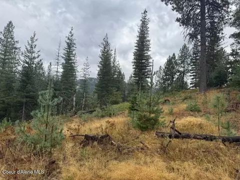 Nka Parcel B, Pinehurst, ID 83850 photo 7