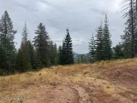 Nka Parcel B, Pinehurst, ID 83850 photo 5