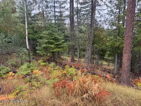 Nka Parcel B, Pinehurst, ID 83850 photo 6