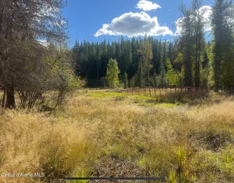 Nna Tanglewood Drive, Priest River, ID 83856