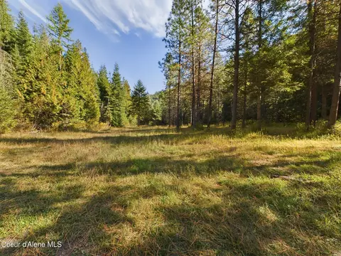 2905 Bear Creek Rd, Kingston, ID 83839