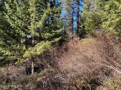 Nka S Edgewater Dr, Harrison, ID 83833 photo 18
