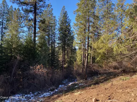 Nka S Edgewater Dr, Harrison, ID 83833 photo 10