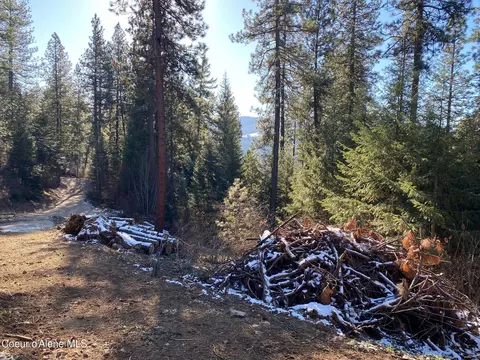 Nka S Edgewater Dr, Harrison, ID 83833 photo 9