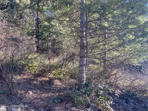 Nka S Edgewater Dr, Harrison, ID 83833 photo 17