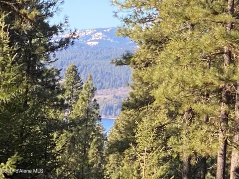 Nka S Edgewater Dr, Harrison, ID 83833