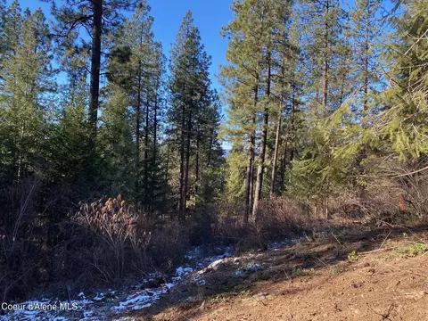 Nka S Edgewater Dr, Harrison, ID 83833 photo 16