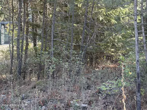 Nna Gray Eagle Lt 3, Rathdrum, ID 83858 photo 3