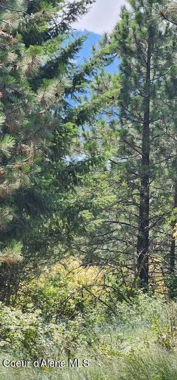 Nka E Canton Ln, Harrison, ID 83833 photo 9