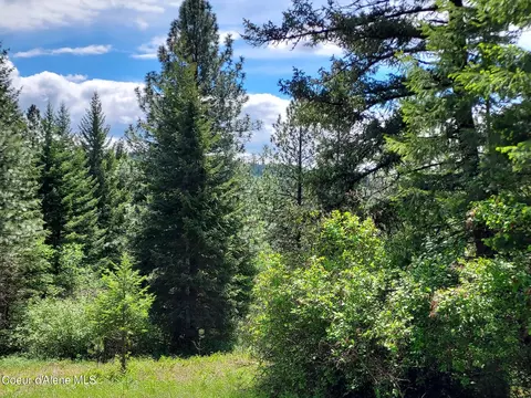 Nka E Canton Ln, Harrison, ID 83833 photo 21