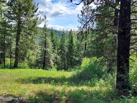 Nka E Canton Ln, Harrison, ID 83833 photo 3