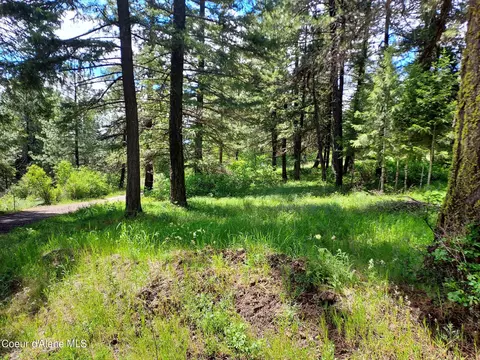 Nka E Canton Ln, Harrison, ID 83833 photo 13
