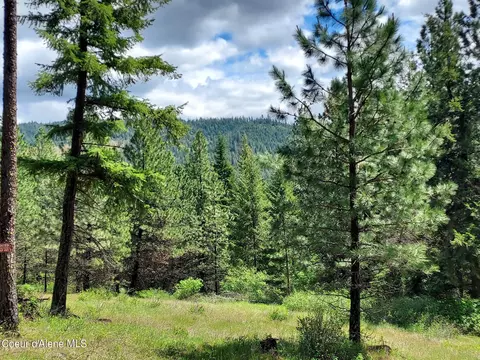 Nka E Canton Ln, Harrison, ID 83833 photo 12