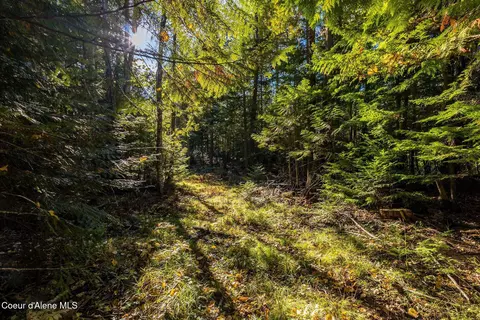 4 Saddleback Drive, Sagle, ID 83860 photo 4