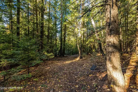 4 Saddleback Drive, Sagle, ID 83860 photo 11