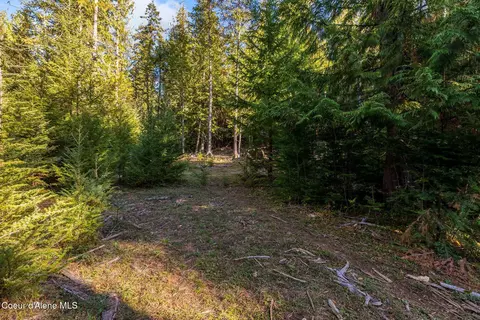 4 Saddleback Drive, Sagle, ID 83860 photo 10