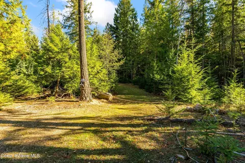 4 Saddleback Drive, Sagle, ID 83860 photo 3