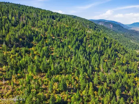 2 Juniper Lane, Naples, ID 83847 photo 12