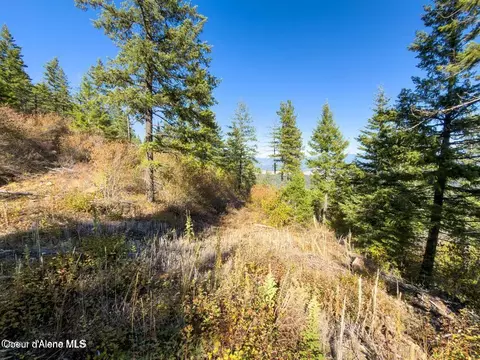 2 Juniper Lane, Naples, ID 83847 photo 8