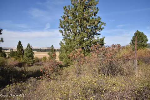 263 Cobblestone Ln, Plummer, ID 83851 photo 4