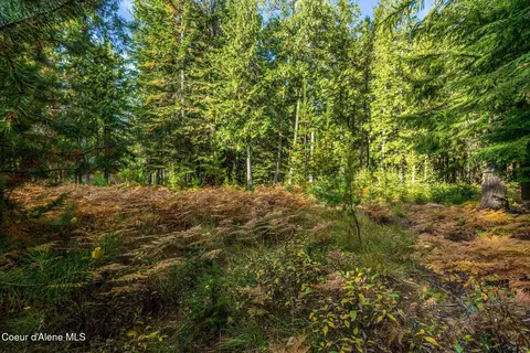 Nna Morris Road, Naples, ID 83847 photo 7