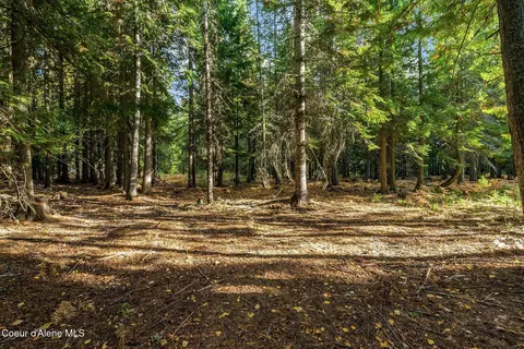 Nna Morris Road, Naples, ID 83847 photo 2